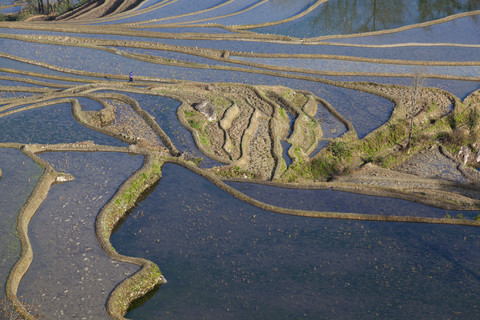 China, Yunnan, Yuanyang, Woman on rice terraces stock photo