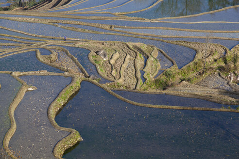 China, Yunnan, Yuanyang, Frau auf Reisterrassen - JBA000099