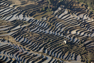 China, Yunnan, Yuanyang, Haus in Reisterrassen - JBAF000100