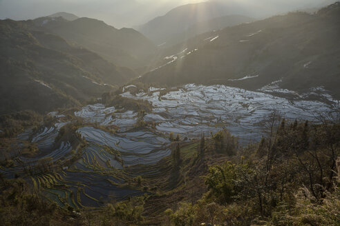 China, Yunnan, Yuanyang, Reisterrassen - JBA000103