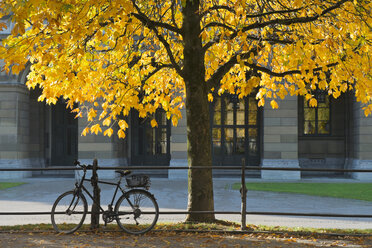 Deutschland, Bayern, München, Nähe Odeonsplatz, am Hofgarten, im Herbst, Fahrrad abgestellt - LAF000572