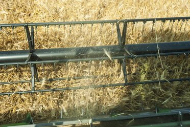 Germany, Rhineland-Palatinate, Rhineland-Palatinate, Combine harvester on barley field - PA000401
