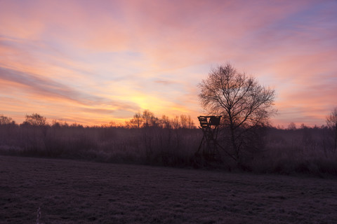 Germany. Lower Saxony, Sunrise, deer stand, misty stock photo