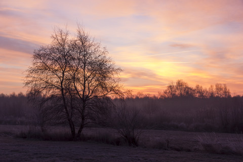 Deutschland, Niedersachsen, Sonnenaufgang, neblig, lizenzfreies Stockfoto