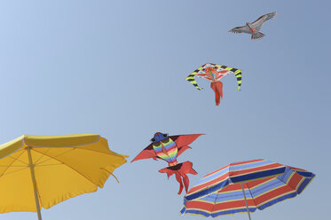 Three kites and two sunshades in front of blue sky - CRF002566