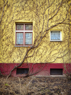 house facade with wine, Berlin, Germany - FBF000242