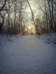 Schnee und Sonnenuntergang im Park, Berlin, Deutschland - FBF000239