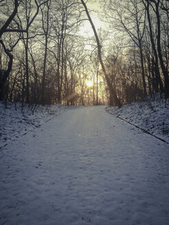 Snow and sunset in Park, Berlin, Germany - FBF000239