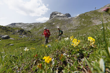 Österreich, Vorarlberg, Biosphärenpark Großes Walsertal, Obere Laguz Alpe im Hintergrund Berg Hanflender, Wanderer - SIEF005066