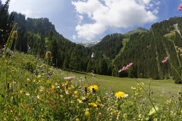 Österreich, Vorarlberg, Rätikon, Stueberfall, Nenzing, Alm 'Nenzinger Himmel', Gamperdonatal - SIEF005055