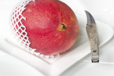 Mango (Mangifera indica) and knife on white plate - YFF000038