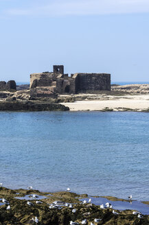 Marokko, Essaouira, Kasbah, Festung an der Küste - THAF000107