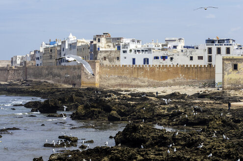 Marokko, Essaouira, Kasbah, Möwen vor der Stadt - THAF000108