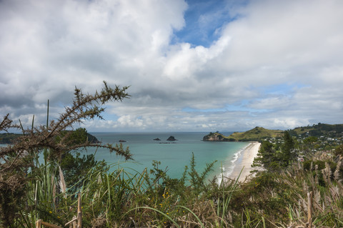 New Zealand, North Island, Waikato, Coromandel Peninsula, Hahei Beach stock photo