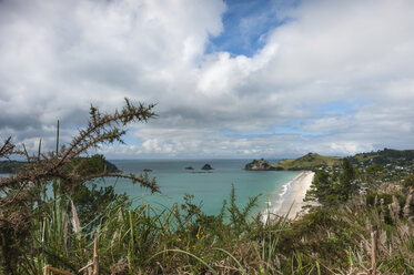 Neuseeland, Nordinsel, Waikato, Coromandel-Halbinsel, Hahei Beach - JB000021