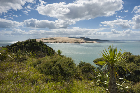 Neuseeland, Nordinsel, Northland, Far North District, Hokianga Harbour Entrance mit Tasmanischer See, North Head und riesiger Sanddüne, lizenzfreies Stockfoto