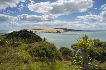 Neuseeland, Nordinsel, Northland, Far North District, Hokianga Harbour Entrance mit Tasmanischer See, North Head und riesiger Sanddüne - JB000023