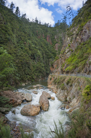 Neuseeland, Nordinsel, Waikato, Karangahake-Schlucht, Waitawheta-Fluss, lizenzfreies Stockfoto