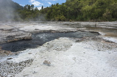 Neuseeland, Nordinsel, Bay of Plenty, Orakei Korako, kochendes Wasser, geothermische Energie - JB000043