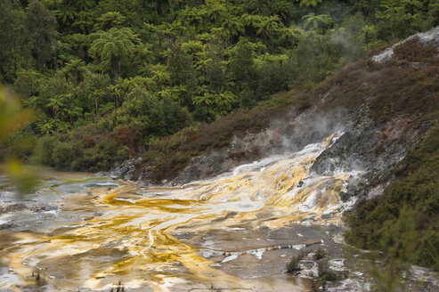 Neuseeland, Nordinsel, Bay of Plenty, Orakei Korako, Sinterterrasse mit Fumarole und Regenwald - JB000044