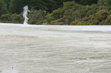 Neuseeland, Nordinsel, Bay of Plenty, Rotorua, Wai-O-Tapu, Sinterterrasse mit Fumarole - JB000067