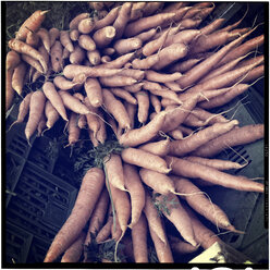 Germany, Baden-Wuerttemberg, Tuebingen, weekly market, carrots - LVF000691