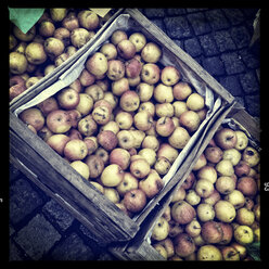 Germany, Baden-Wuerttemberg, Tuebingen, weekly market, boxes of winter apples - LVF000695