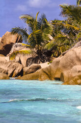 Seychelles, La Digue, beach with palms and typical rocks - KRP000299