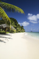 Seychellen, Praslin, Palme am Strand Anse Volbert - KRPF000303
