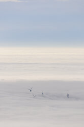 Germany, Baden-Wuerttemberg, Black Forest, wind turbines befogged - LAF000605