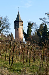 Deutschland, Baden-Württemberg, Insel Mainau, Schwedenturm und Weinberg - JEDF000151