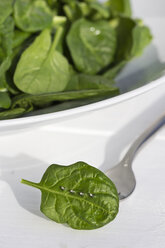 Skewered spinach leaf (Spinacia oleracea) and bowl of spinach - YFF000043
