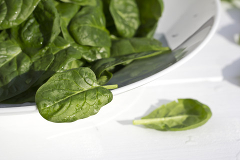 Schale mit Spinatblättern (Spinacia oleracea) auf weißem Grund, lizenzfreies Stockfoto