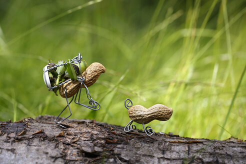 Peanut man with his dog carrying a bag full of poppy pods - NIF000001