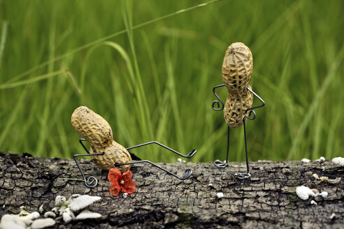 Angry peanut man pushing his competitor to the ground - NIF000003