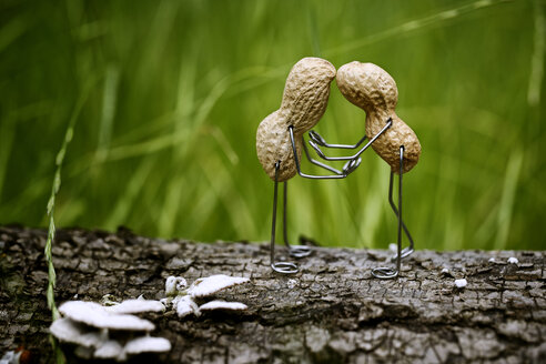 Pair of peanuts in love - NIF000004