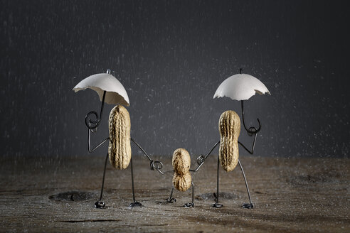 Three peanuts building family with one child in the rain (made of salt grains) - NIF000005