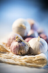 Knoblauch auf Platzdeckchen - MAEF007909