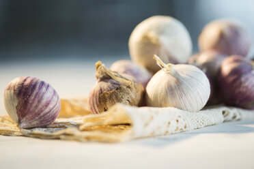 Knoblauch auf Platzdeckchen - MAEF007908