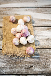 Garlic on place mat - MAEF007906