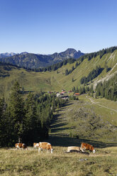 Germany, Upper Bavaria, Upper and lower Firstalm with Risserkogel, Mangfall Mountains - SIEF005067