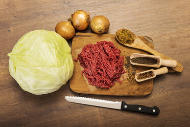 Zutaten für Kohl-Hackfleisch-Eintopf - CSTF000016