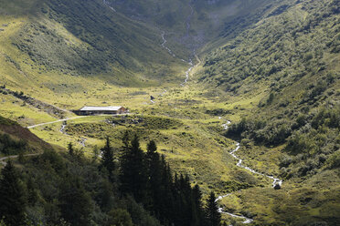 Österreich, Vorarlberg, Verwall Alpen, Obere Wasserstuben-Alpe, Wasserstubental - SIEF005086