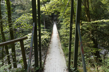 Österreich, Vorarlberg, Bregenzerwald, Lingenau, Egg, Hängebrücke über den Subersbach - SIEF005089