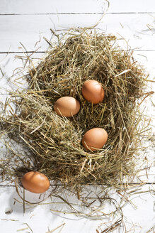 Osternest und vier braune Eier auf weißem Holztisch - MAEF007947