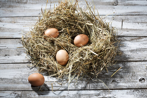 Osternest und vier braune Eier auf grauem Holztisch - MAEF007945