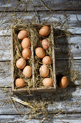 Holzkiste mit braunen Eiern und Heu auf grauem Holztisch - MAEF007941