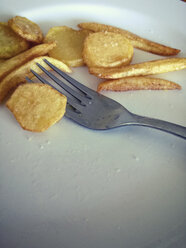 Potato slices and fries with a fork on a plate - MYF000195