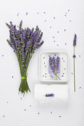 Lavendel (Lavendula), weißes Handtuch, Lavendelseife auf Seifenkorb - GWF002624