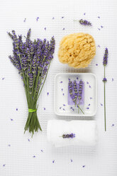 Lavendel (Lavendula), weißes Handtuch, Lavendelseife auf Seifenkorb und Naturschwamm - GWF002626